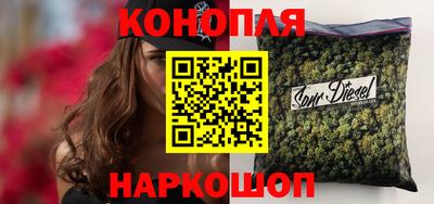 крисы Беслан