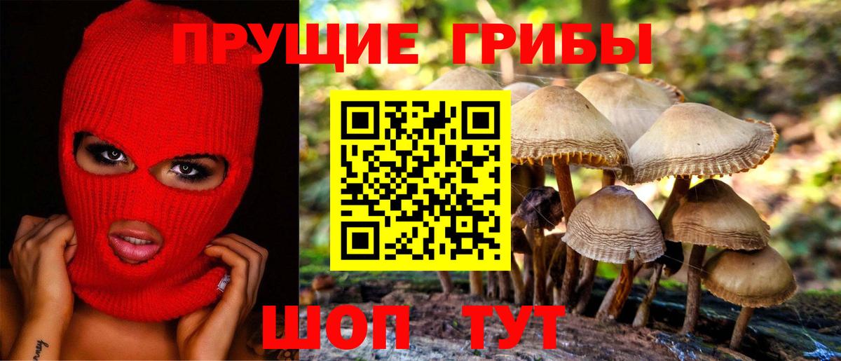 Галлюциногенные грибы прущие грибы Губкин