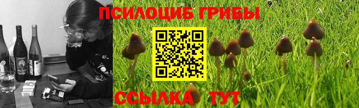 Губкин  Псилоцибиновые грибы ЛСД  Вход с VPN 